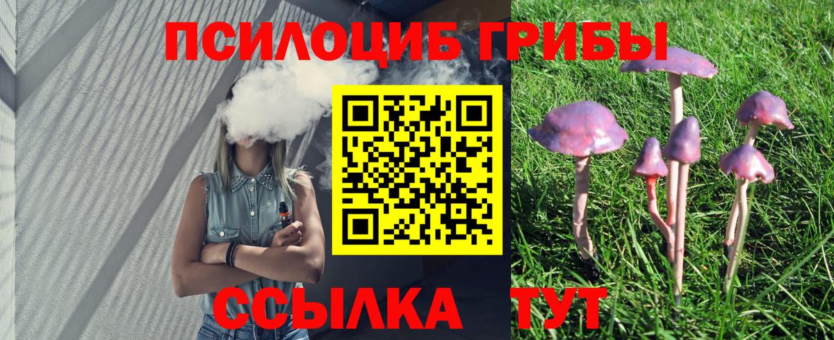Котельники  Галлюциногенные грибы ЛСД  Галлюциногенные грибы ЛСД  Вход с VPN 